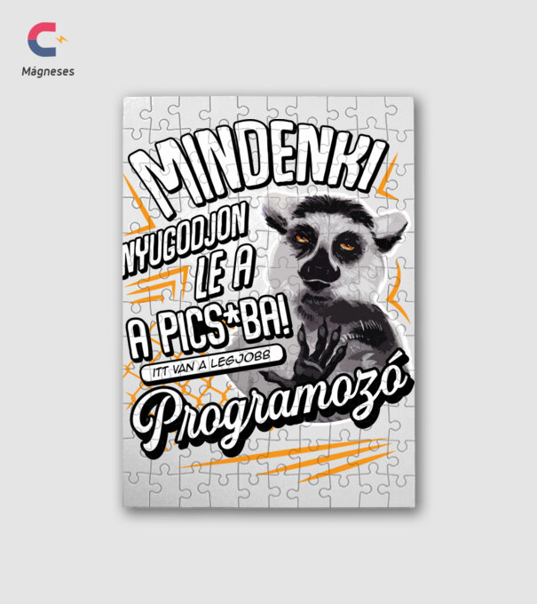 Itt van a legjobb Programozó minta fehér pólón