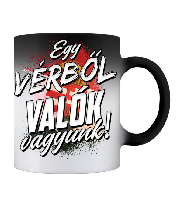 minta  pólón