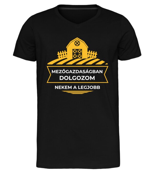  minta  pólón
