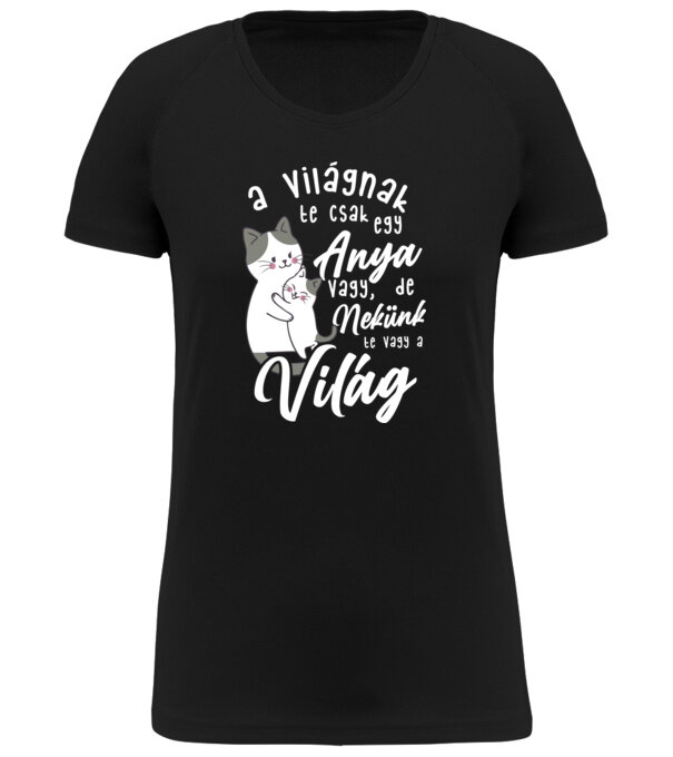  minta  pólón