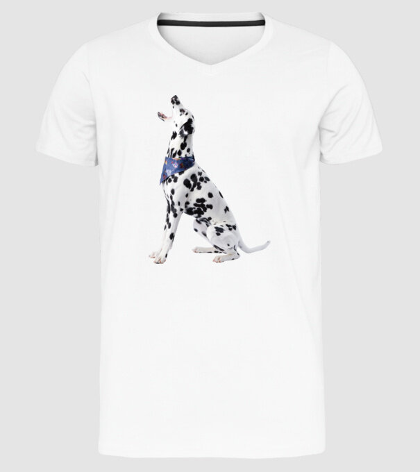 Dalmata minta fehér pólón