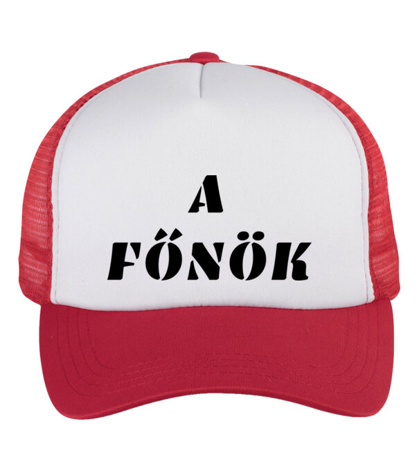  minta  pólón
