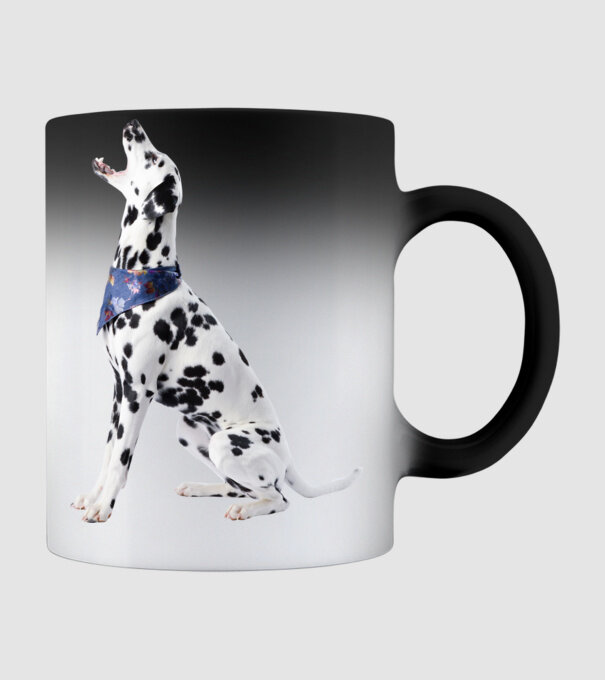 Dalmata minta fekete pólón