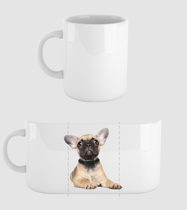 francia-bulldog minta fehér pólón