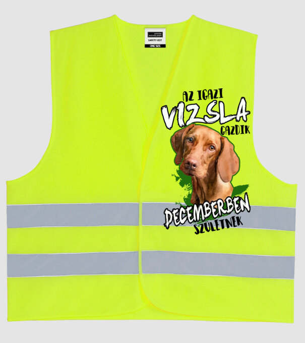 Vizsla Decemberben minta neonsárga pólón