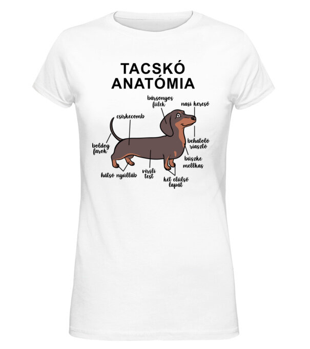  minta  pólón