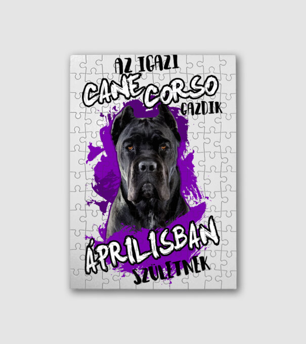 Cane Corso April minta fehér pólón