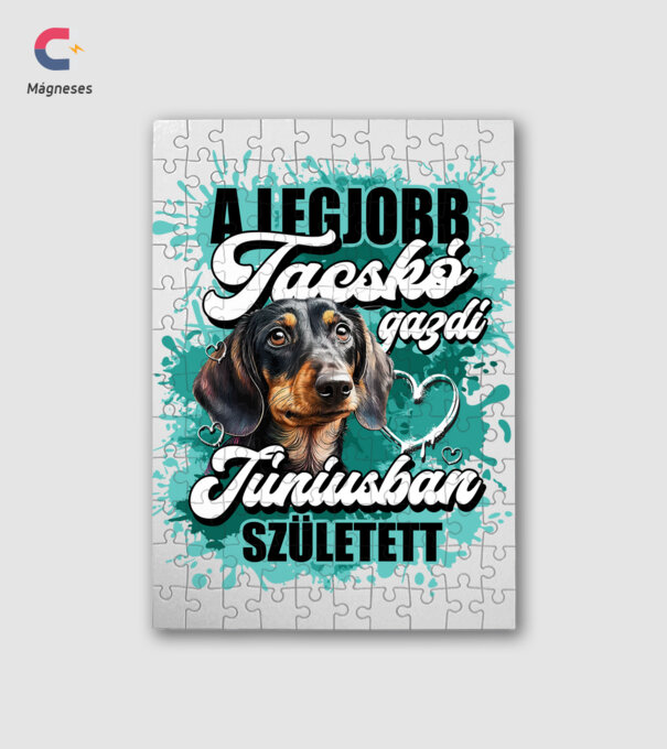 A legjobb tacskó gazdi júniusban született minta fehér pólón