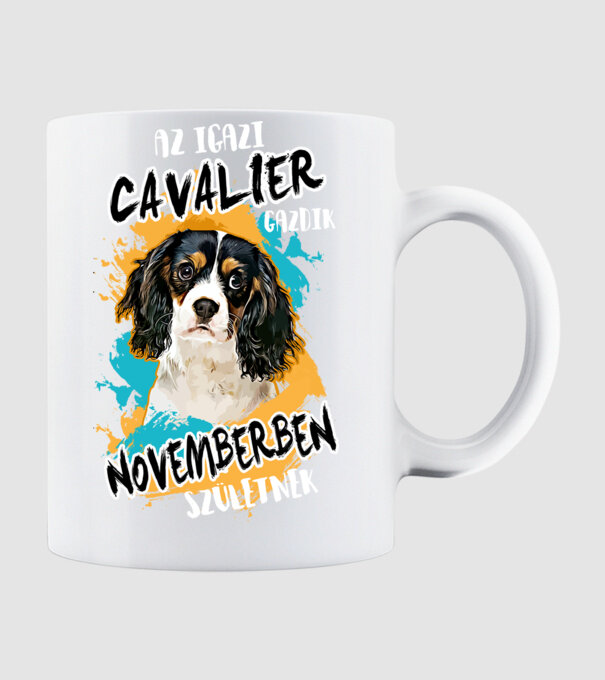 Az igazi CAVALIER gazdik NOVEMBERben születnek minta fehér pólón
