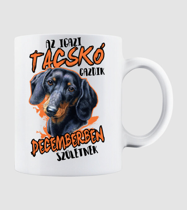 Tacskó Decemberben minta fehér pólón