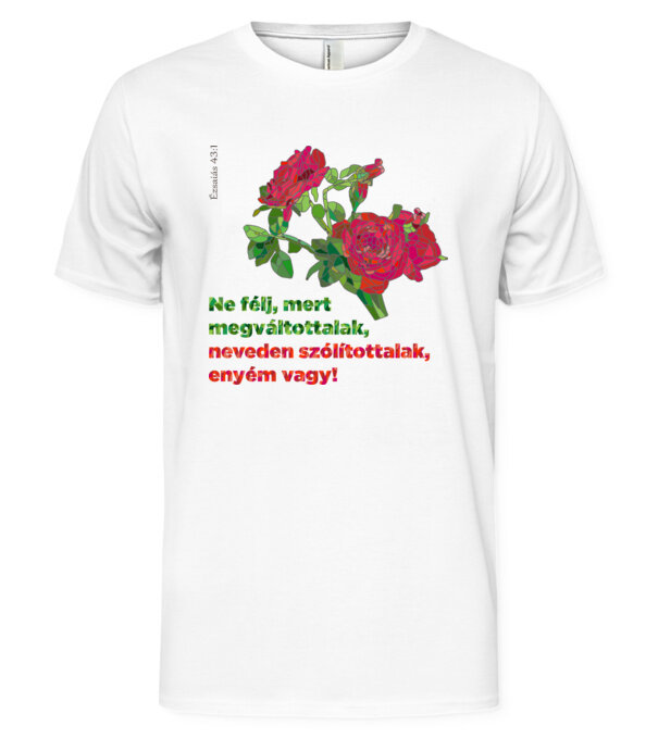  minta  pólón