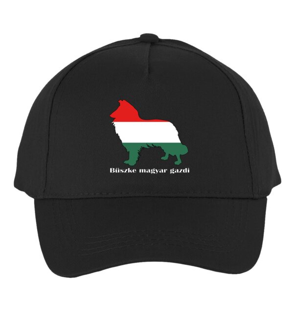  minta  pólón