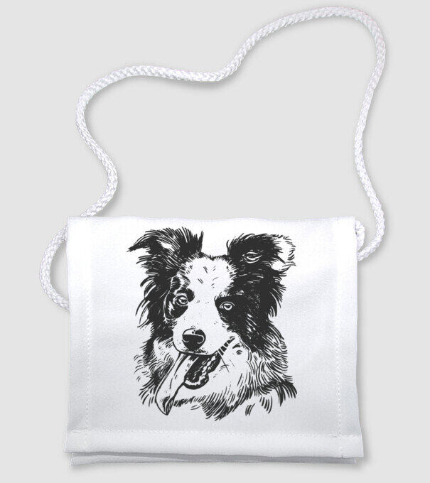 Boldog border collie minta fehér pólón