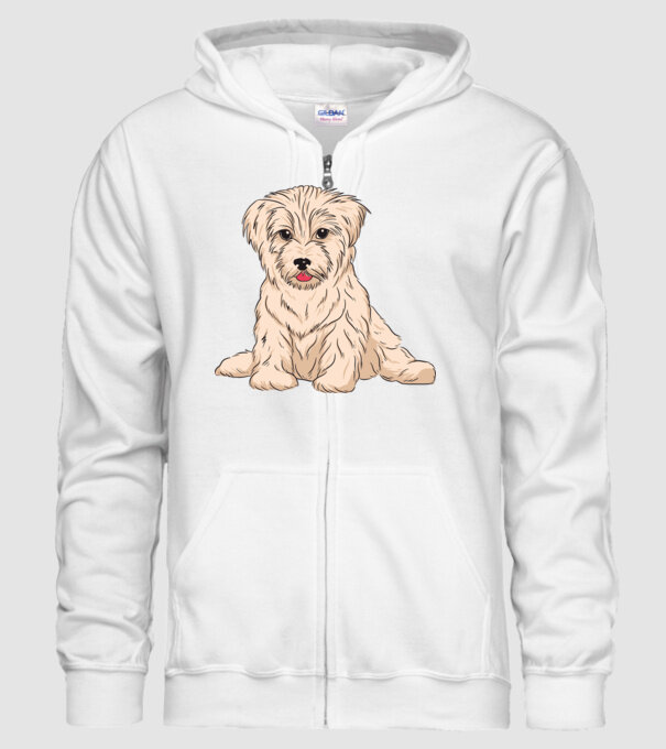 Havanese Kutya minta fehér pólón