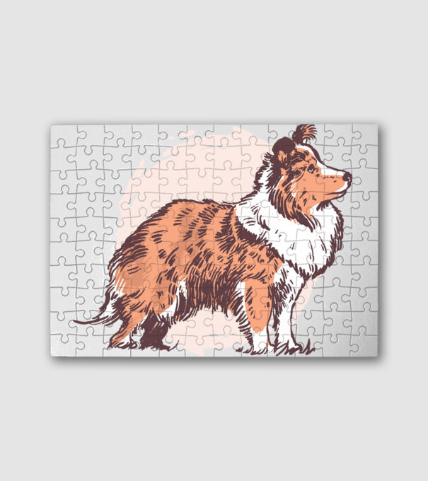 Collie kutya minta fehér pólón