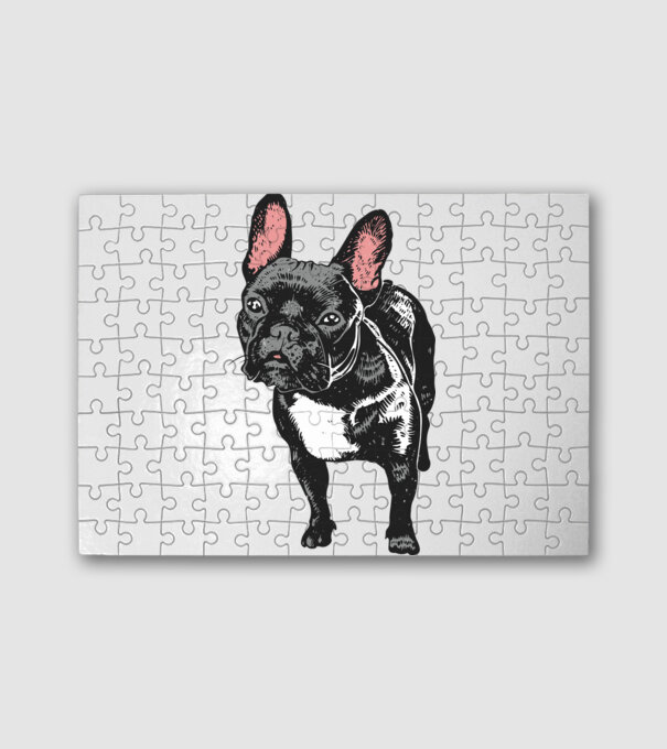Francia bulldog minta fehér pólón