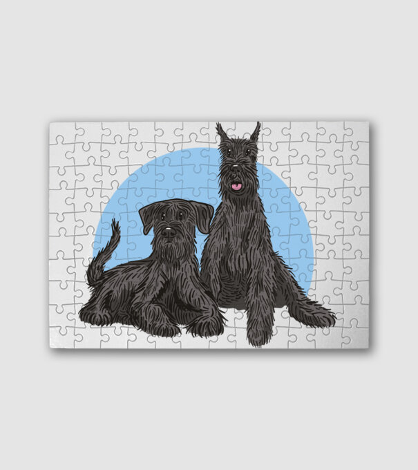Schnauzer Kutya minta fehér pólón
