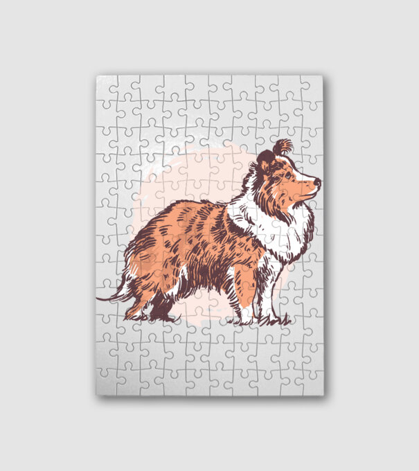 Collie kutya minta fehér pólón
