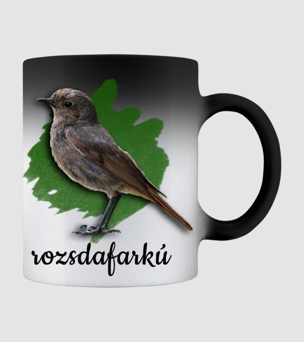 rozsdafarkú minta fekete pólón