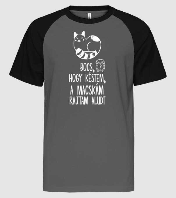 Bocs, hogy késtem, a macskám rajtam aludt minta szürke/fekete pólón
