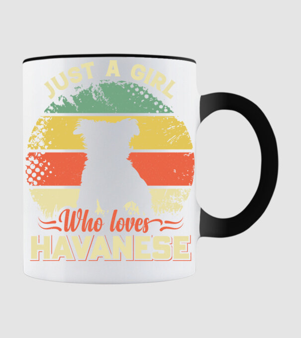 Csak egy lány, aki szereti a havanese-t minta fekete pólón